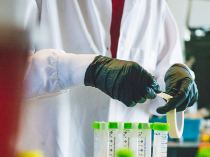 Researcher's gloved hands working with test samples in laboratory