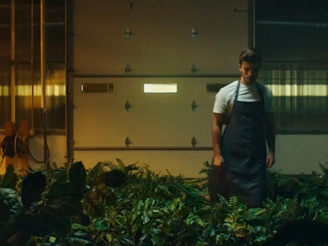 A person tending to plants in an indoor farm
